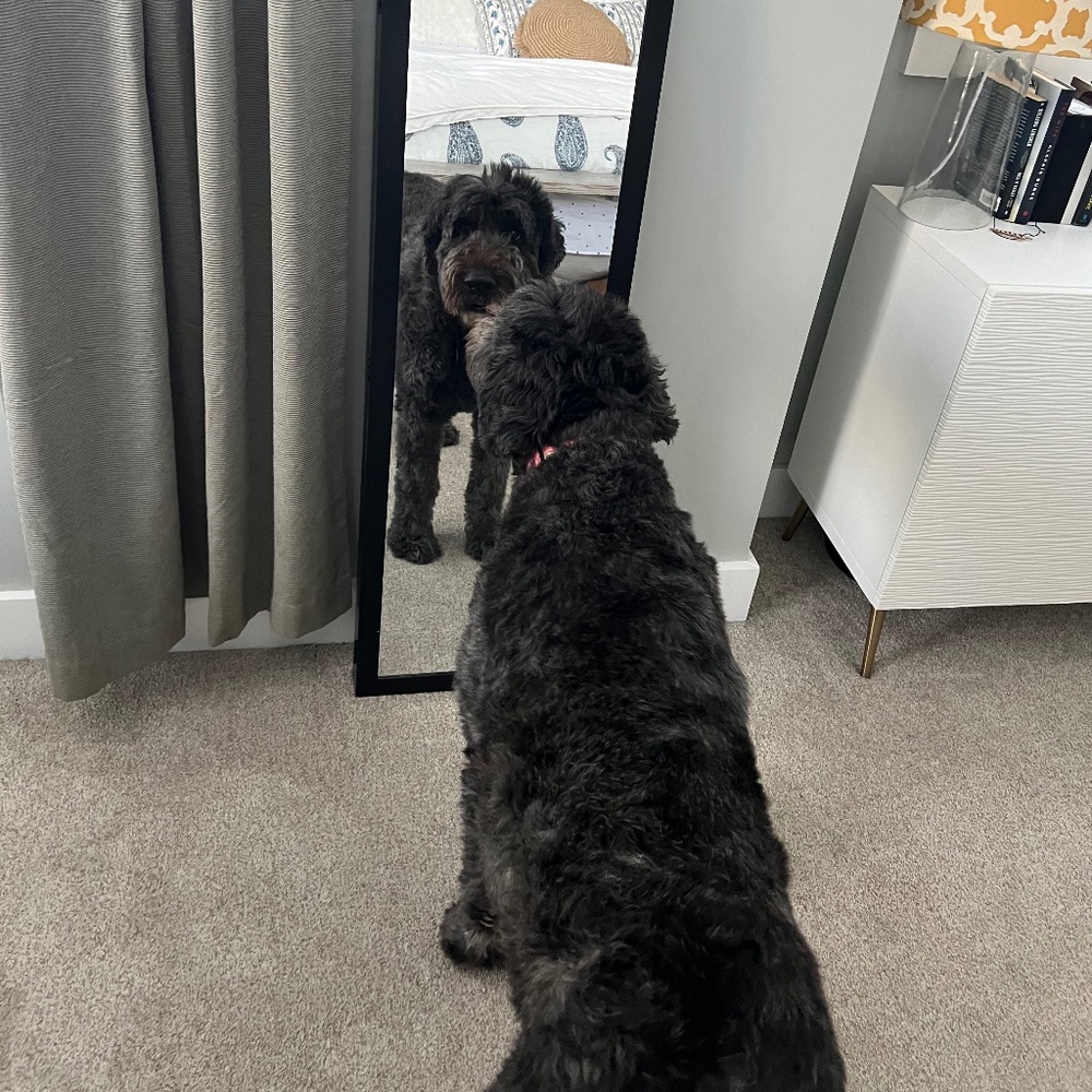 Meet your Posher, Nancy